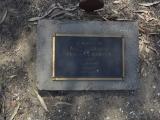 image of grave number 558519